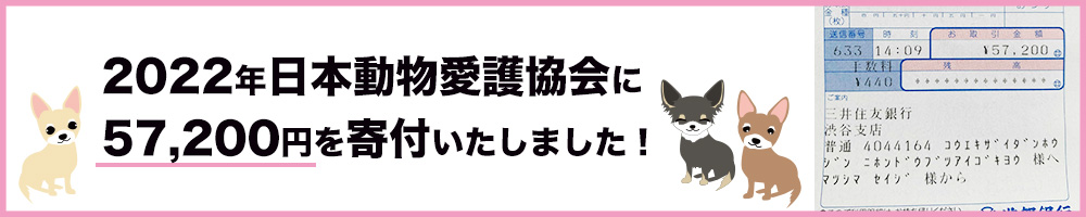 日本動物愛護協会寄付